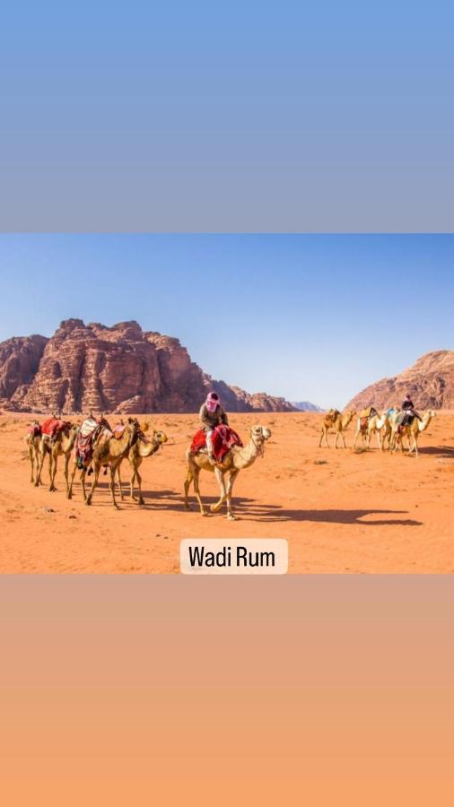 Wadi Rum Sand Delight Camp Ξενοδοχείο Εξωτερικό φωτογραφία