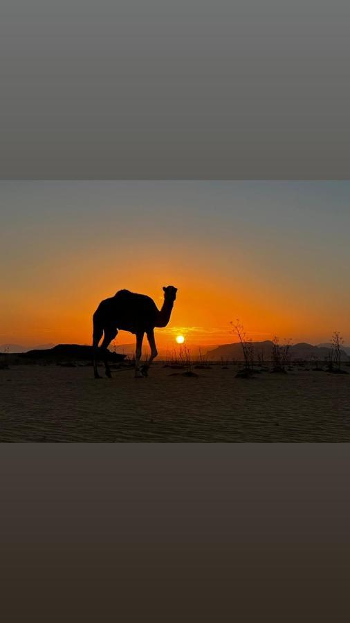 Wadi Rum Sand Delight Camp Ξενοδοχείο Εξωτερικό φωτογραφία